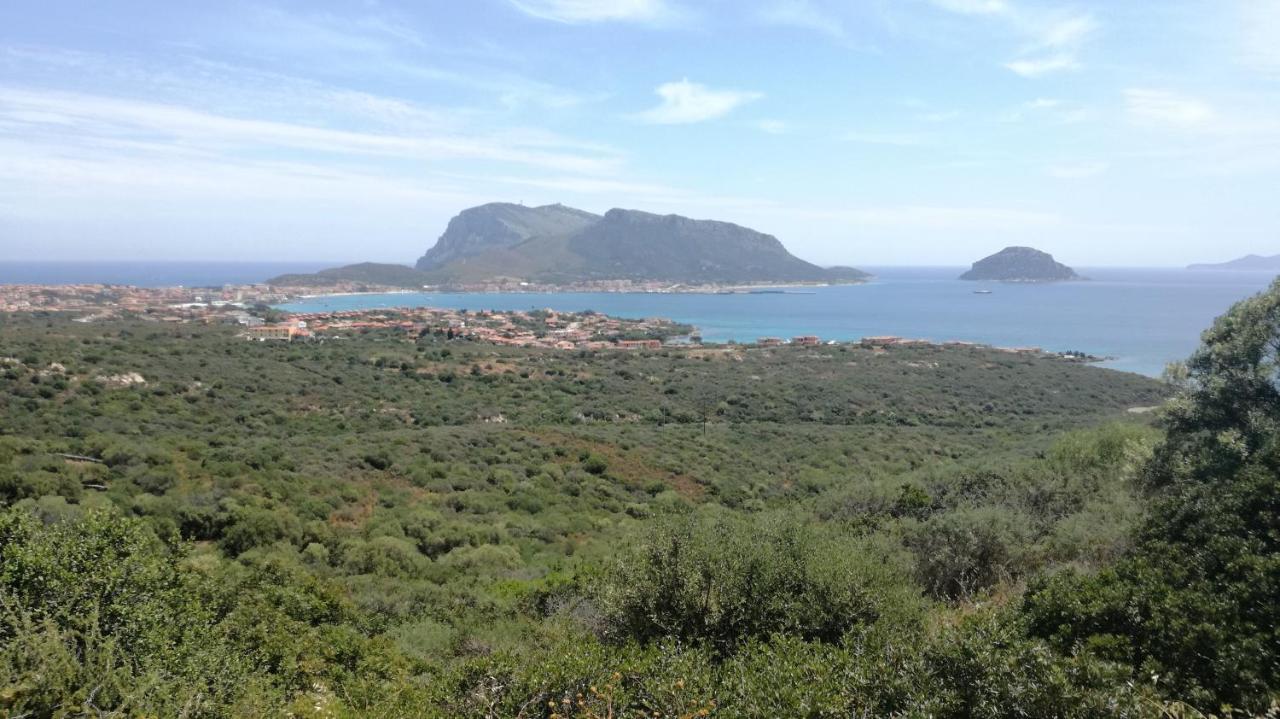 Casa Victoria Daire Golfo Aranci Dış mekan fotoğraf