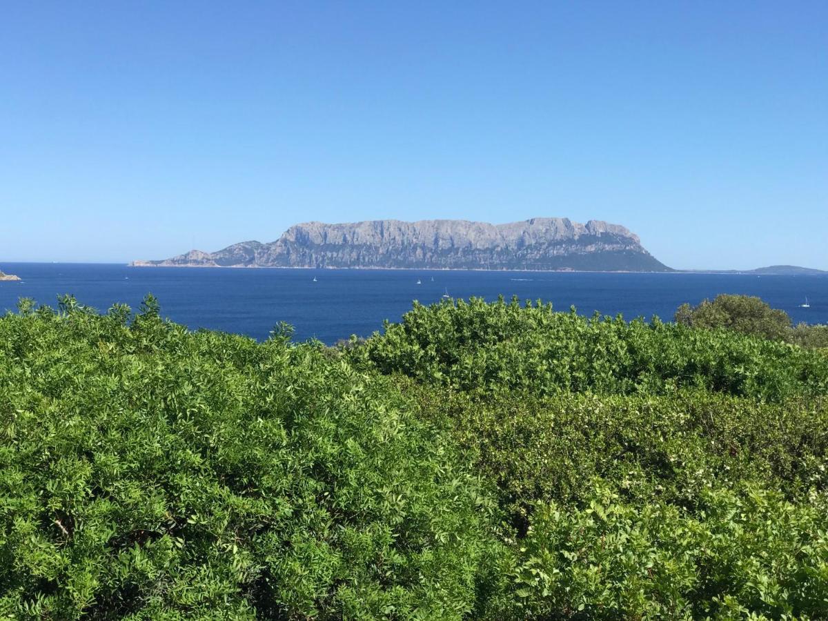 Casa Victoria Daire Golfo Aranci Dış mekan fotoğraf