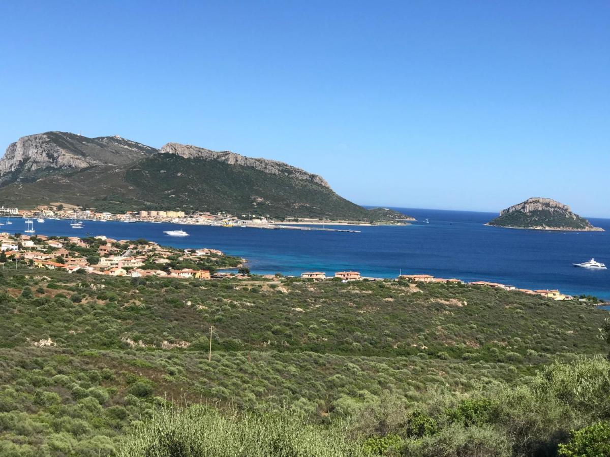 Casa Victoria Daire Golfo Aranci Dış mekan fotoğraf