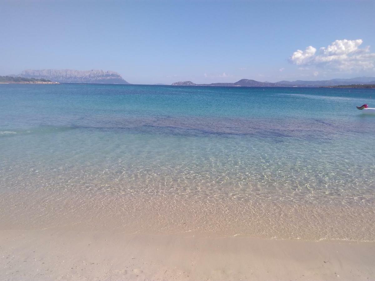 Casa Victoria Daire Golfo Aranci Dış mekan fotoğraf