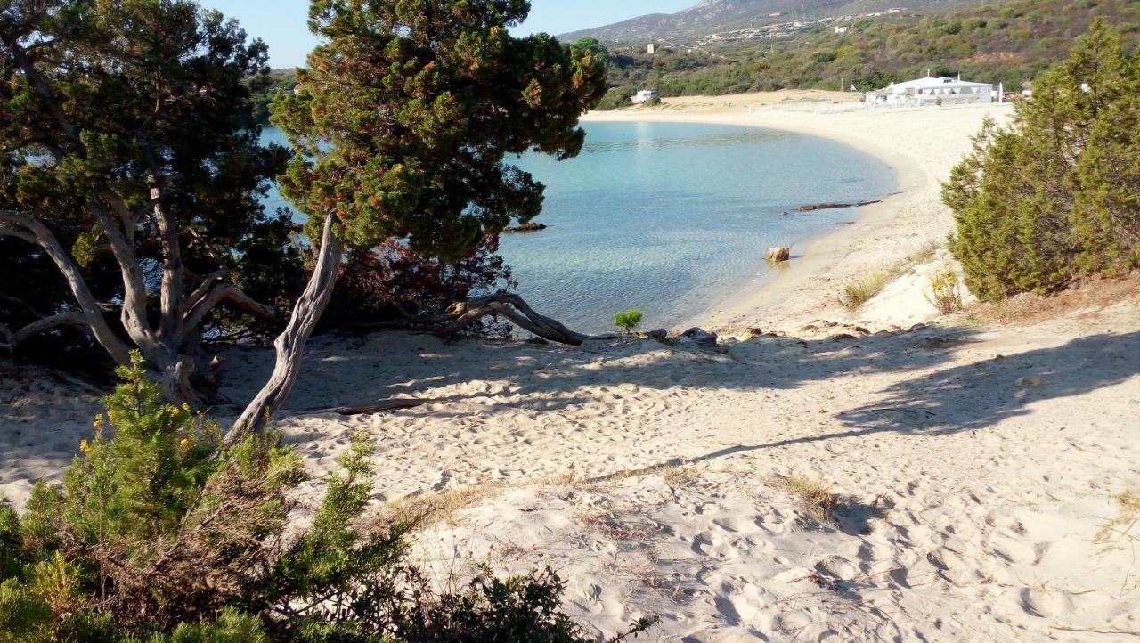 Casa Victoria Daire Golfo Aranci Dış mekan fotoğraf